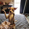 Cash - Photo 5