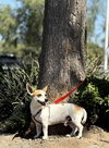 Herbie - Photo 5