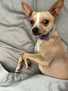 Tony - Photo 6
