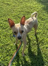 Tony - Photo 7