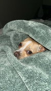Tony - Photo 3