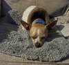 Tony - Photo 4