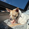 Tony - Photo 5