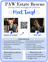 Tony - Photo 5