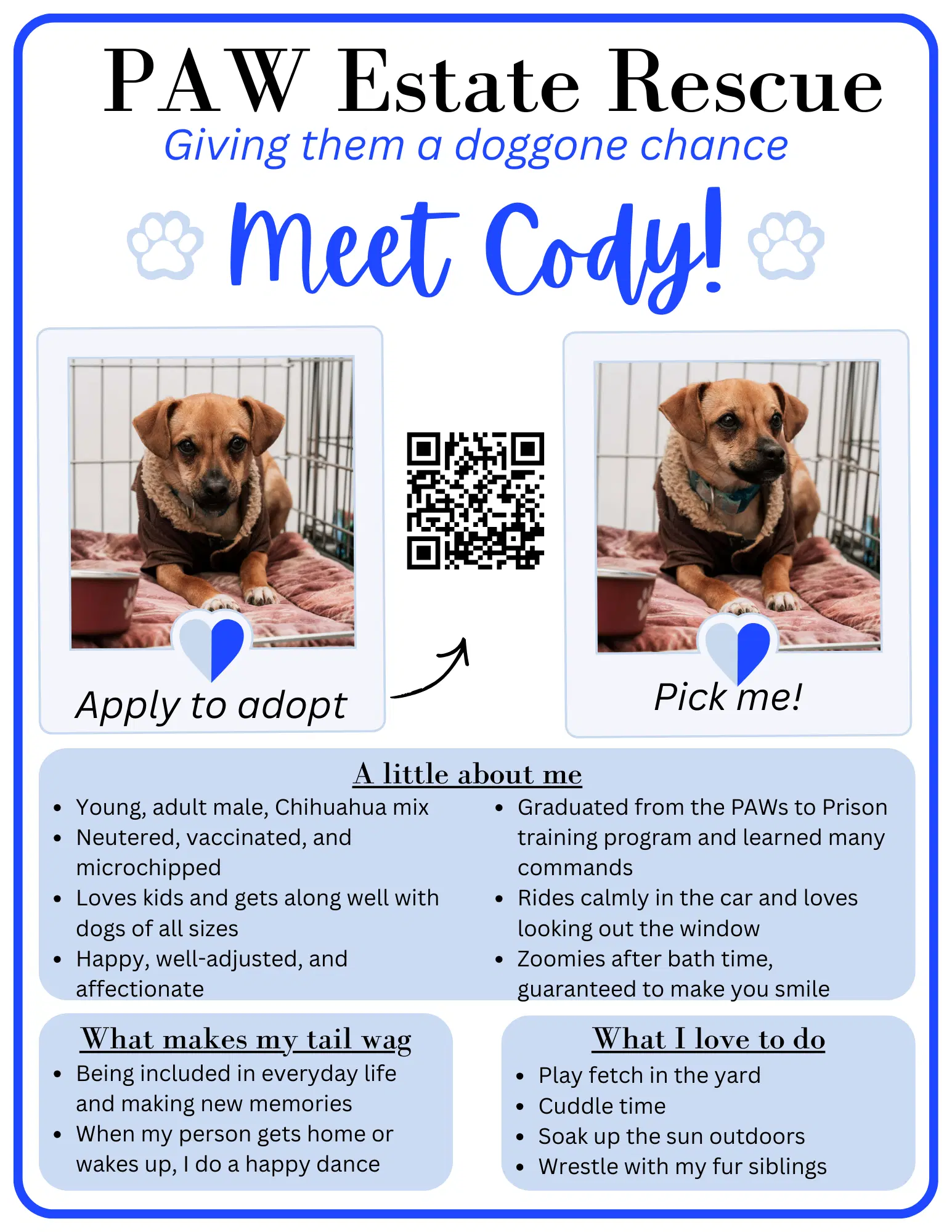 Cody image 4