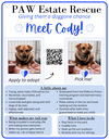 Cody - Photo 3