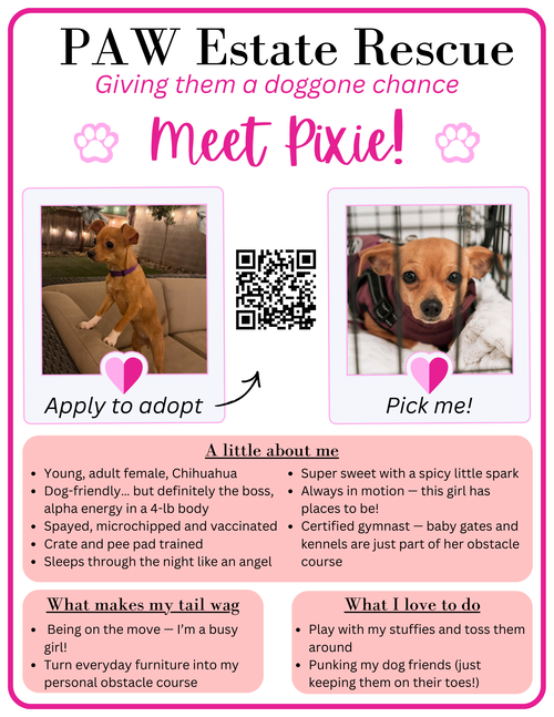 Pixie — thumbnail 5