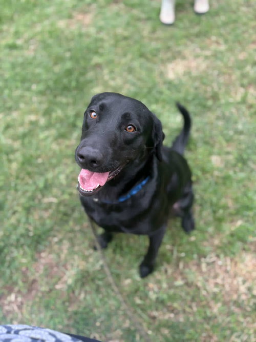 Chance photo 2