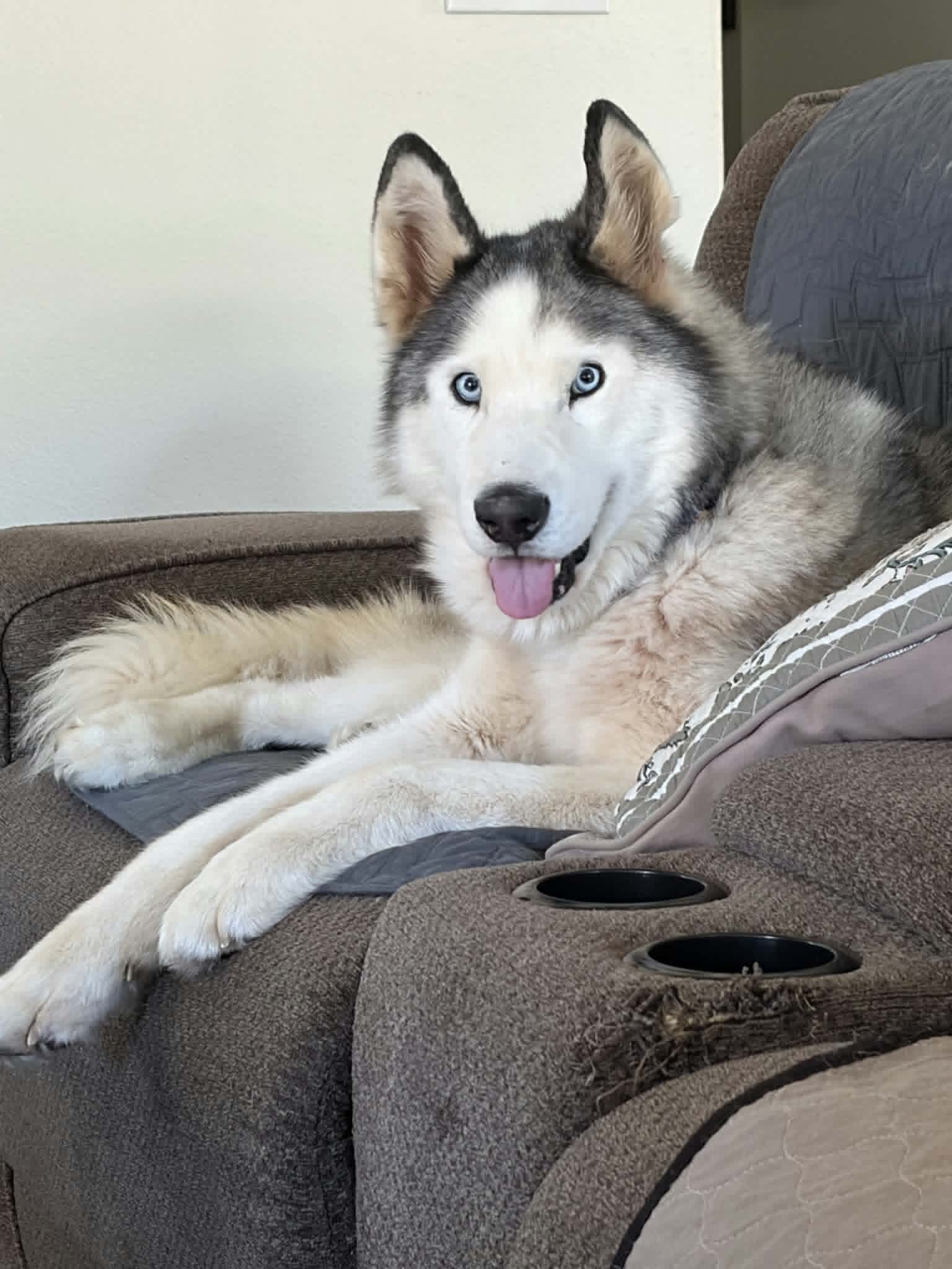 Perry