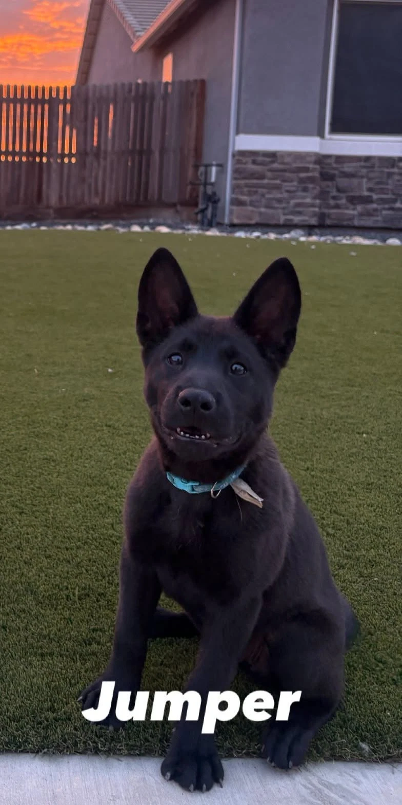 Jumper
