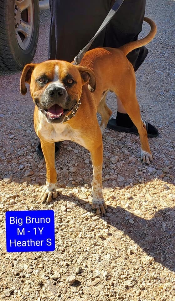 Big Bruno