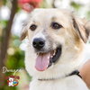 Dwayne - Photo 5