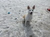 Mirabelle - Photo 3