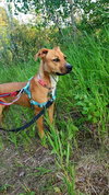Bonita - Photo 3