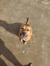 Bonita - Photo 4