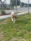 Kit - Photo 4