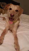 Kimmy - Photo 4