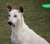 Charlie - Photo 2