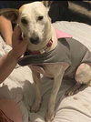 Charlie - Photo 3