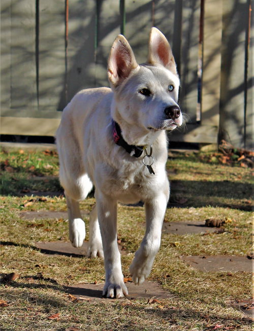 Photo 5 of Willow