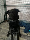 Bella - Photo 1