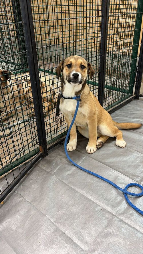Rory
