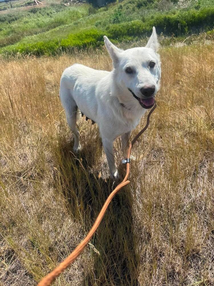 Mandy image 2