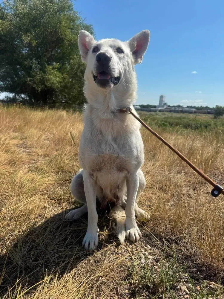 Mandy image 4