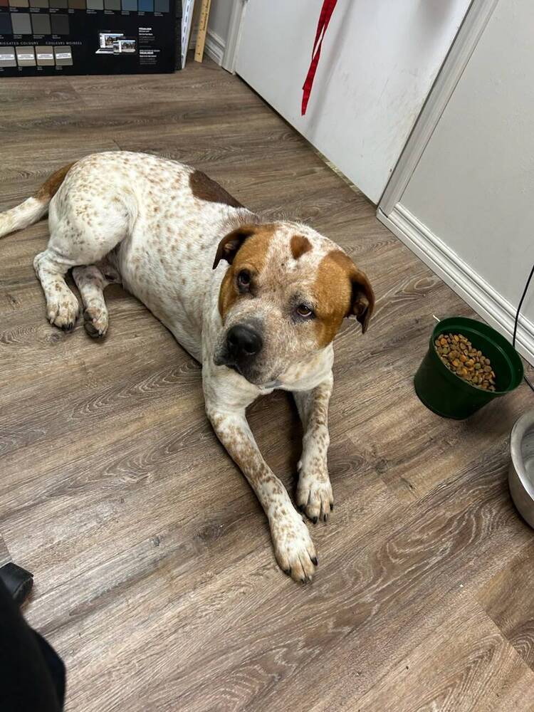Leroy