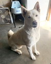 Luna - Photo 9