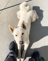 Luna - Photo 10