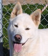 Luna - Photo 3