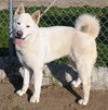 Luna - Photo 4