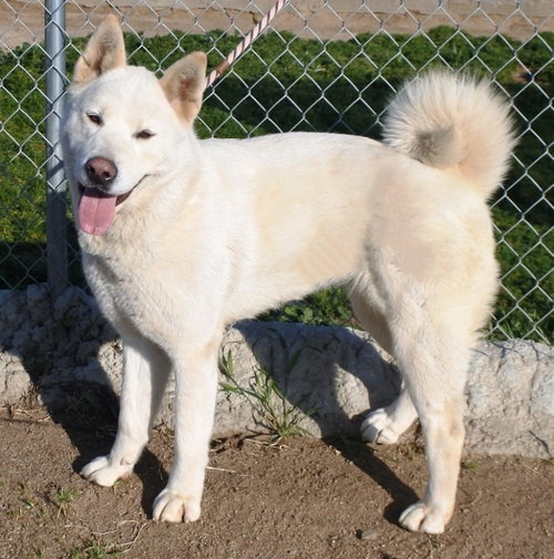 Luna photo 4