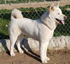 Luna - Photo 5
