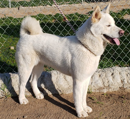 Luna photo 5