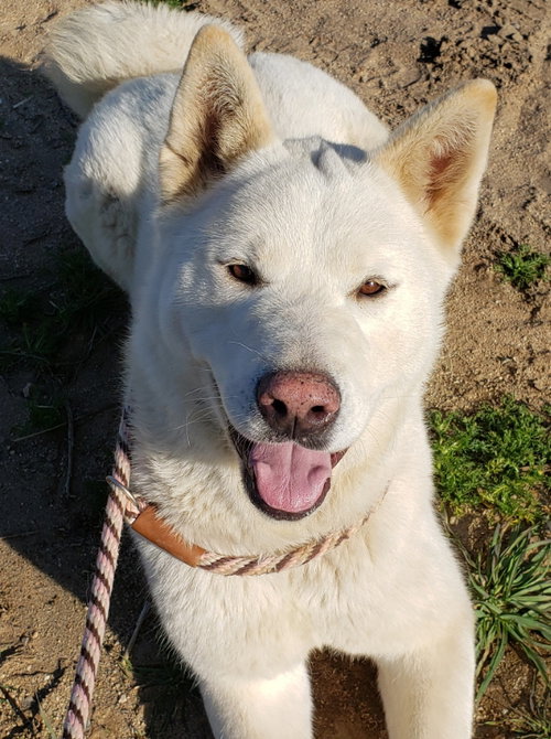 Luna photo 6