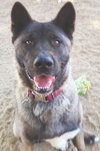 Ume - Photo 2