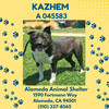 **Kazhem** - Photo 2