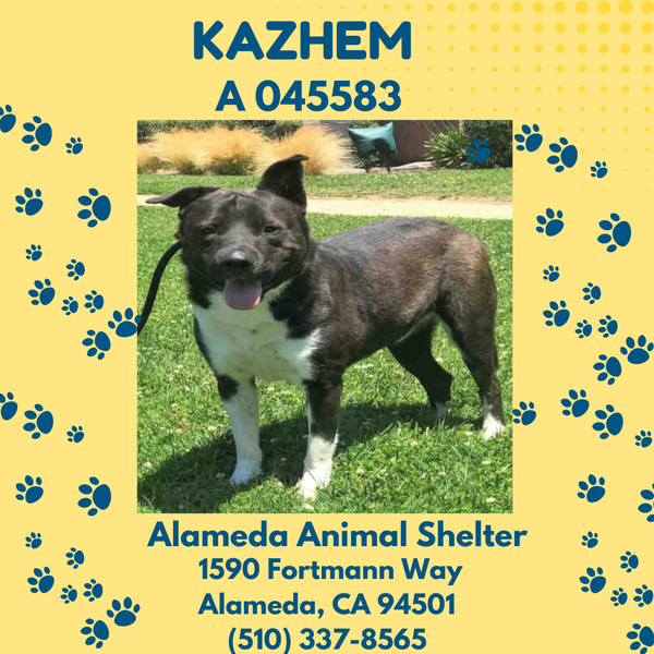 **Kazhem**
