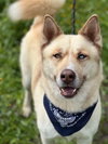 **Sitka** - Photo 1