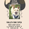 **Sitka** - Photo 2