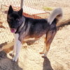 Casper - Photo 3