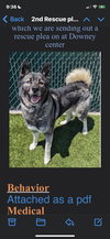 Tashi - Photo 4