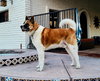 **Romo** - Photo 1