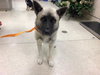 **A1775715** - Photo 1