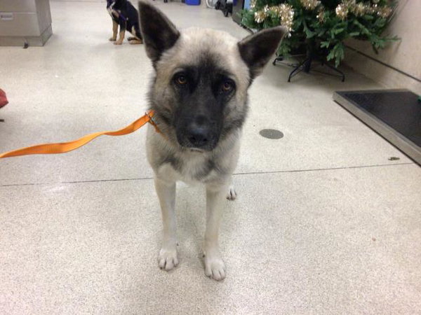 **A1775715**