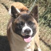 **Freya** - Photo 1