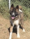 **Onna** - Photo 2