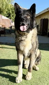 Donna Jo - Photo 2